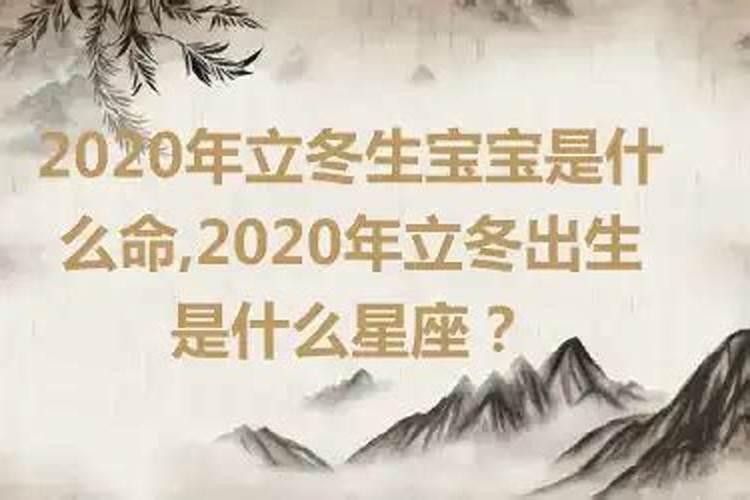 生肖蛇1977年生的在2020的运程如何