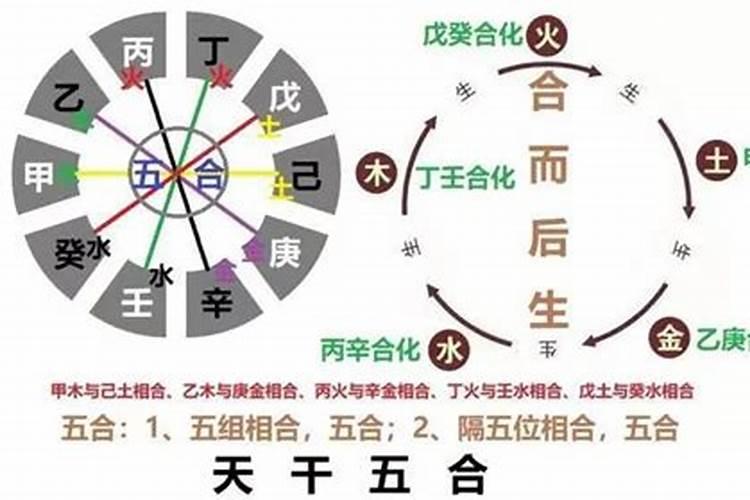 合婚怎么看月柱合不合