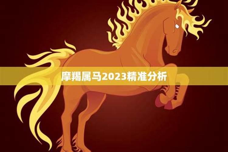 狗年2023年的运势及运程详解