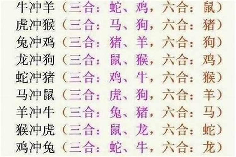 虎和牛属相合不合八字