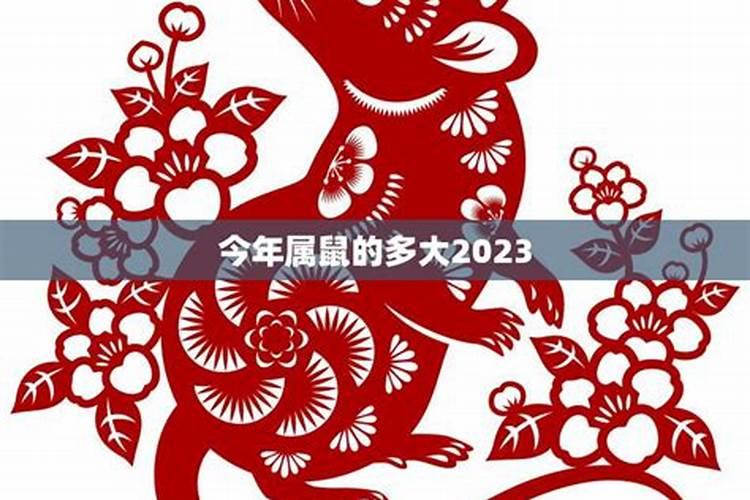 今年属鼠8月份运势2023年