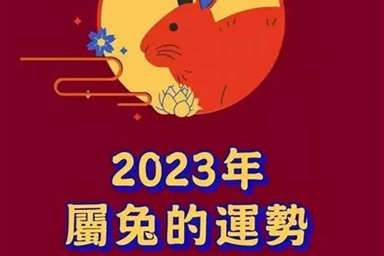 属兔2022犯太岁怎么办