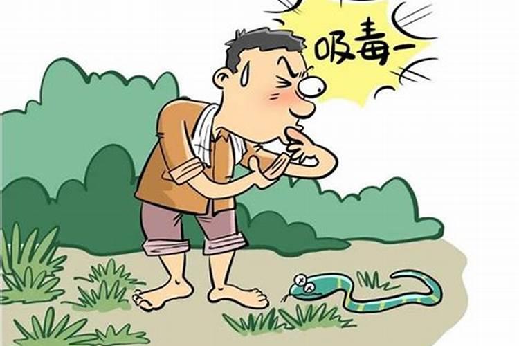 梦见被蛇咬伤是什么预兆