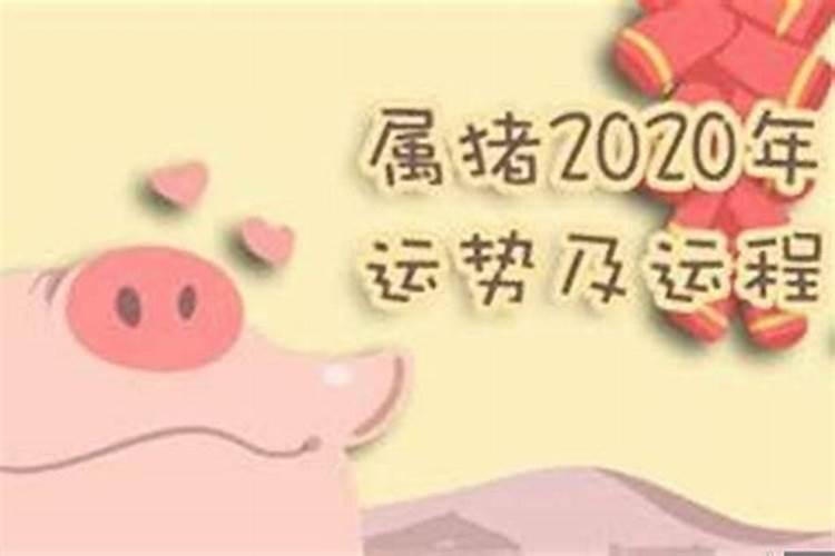 1995女属猪2023年运势