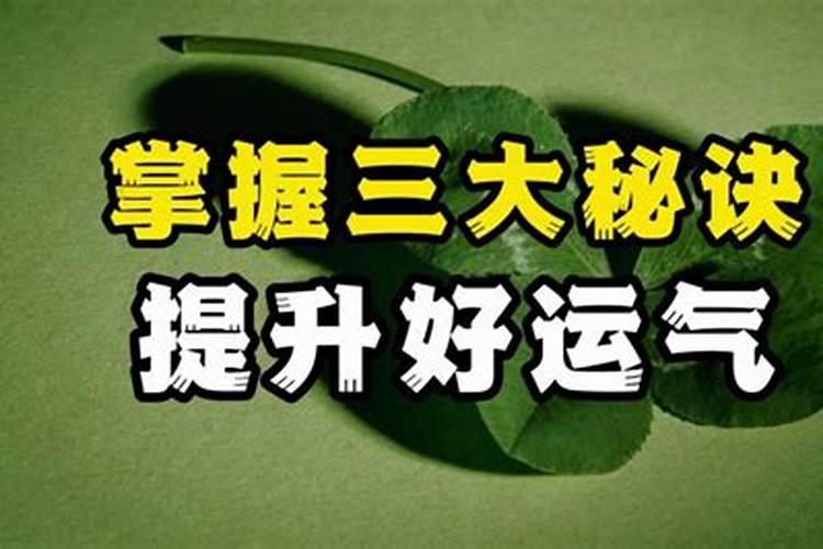 梦见弟弟去很远的地方上学什么意思