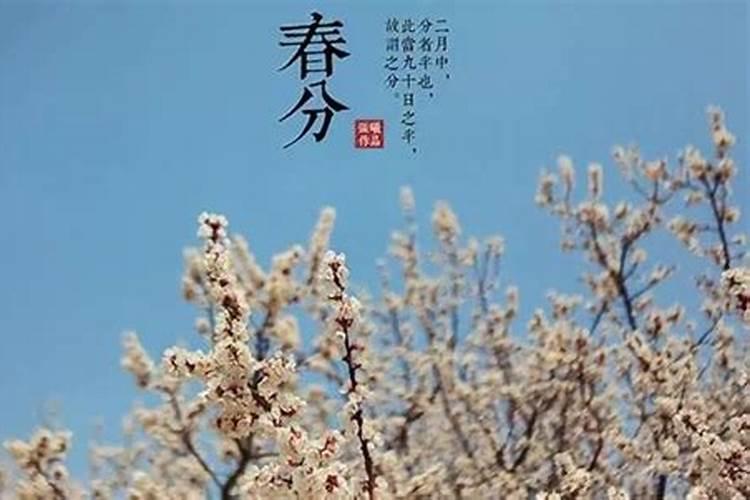 94年农历4月14今年运势