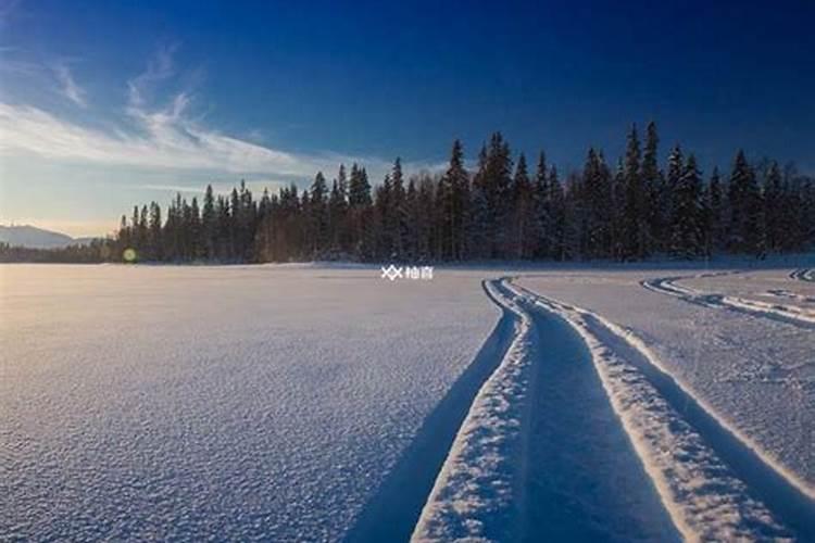 梦见下雪了是什么寓意