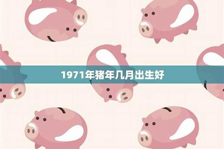 1971年属猪12月生的人