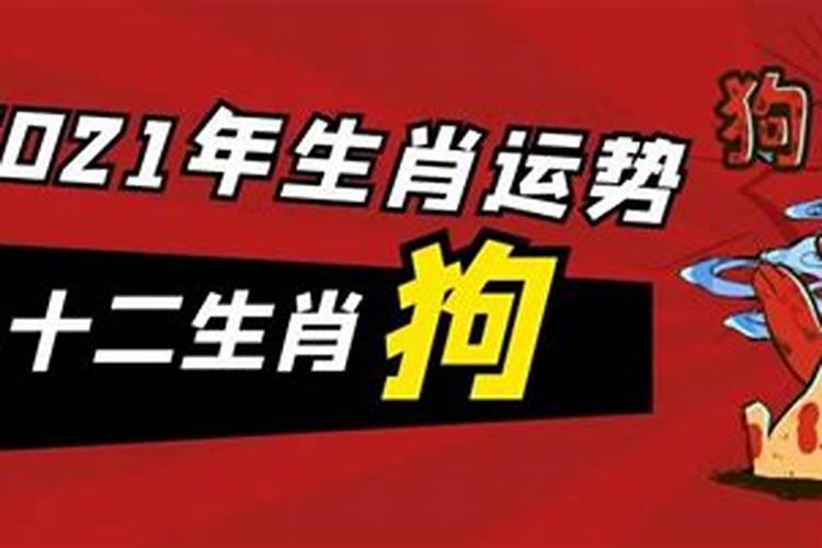 2021年8月属狗的运势