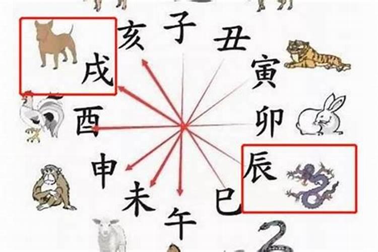 大属相和八字不合