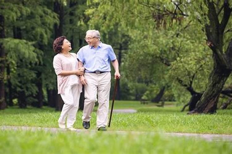 女鼠和男鼠合不合适婚姻呢