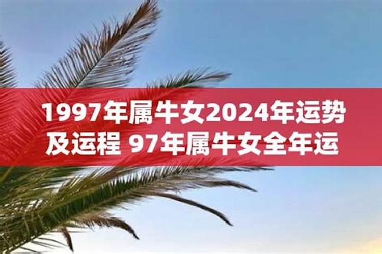 乙亥猪2023年运势