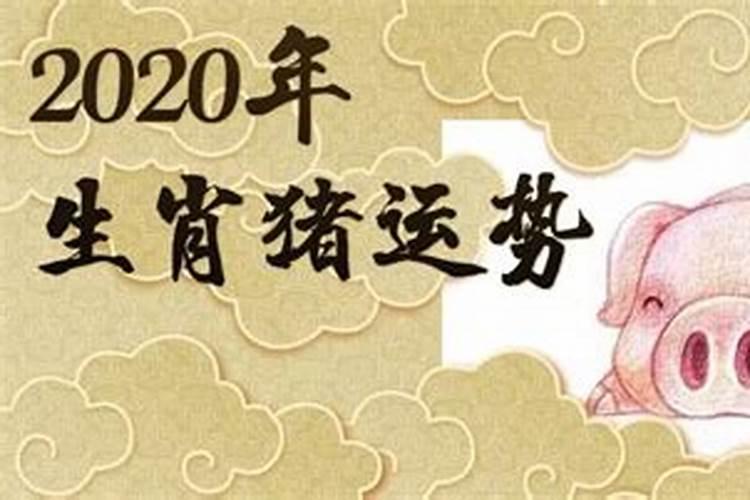 电脑免费算命2020