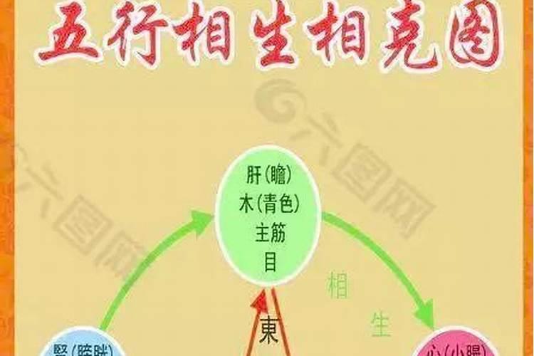 八字中的五行,怎样相生相克