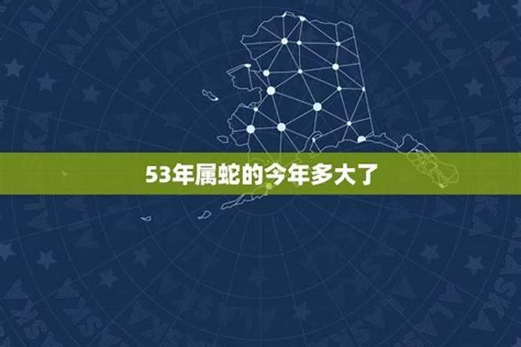 属蛇1953年生今年多大