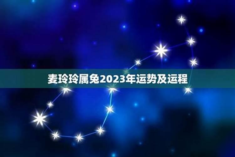 属兔2021年运势麦玲玲