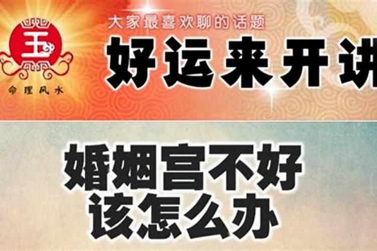 2024年属鼠的6月运势如何