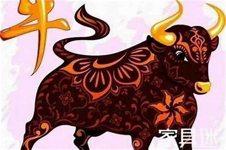 属牛兔龙今年运势