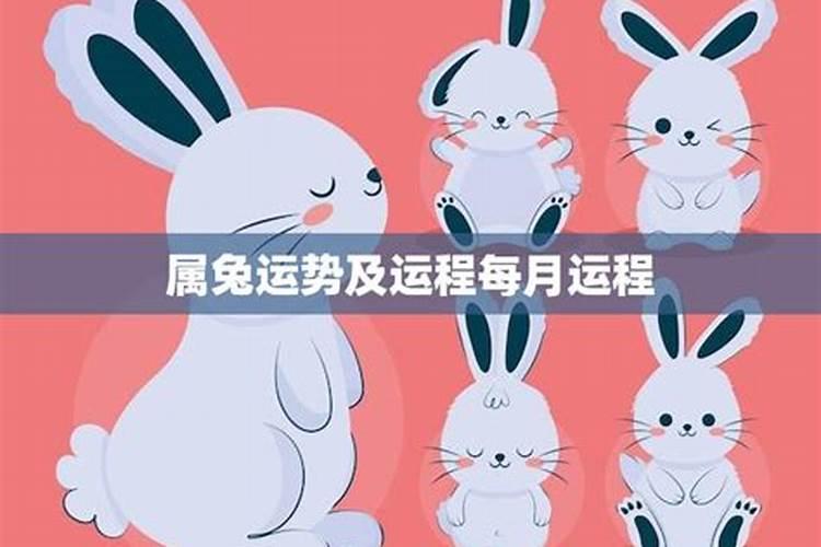 生肖兔5月份的运势如何