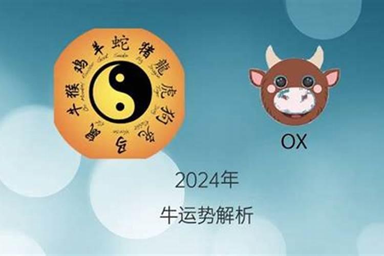 属牛人在2023年的运势怎么样