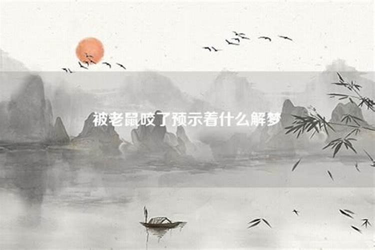 梦到老鼠了预示着什么