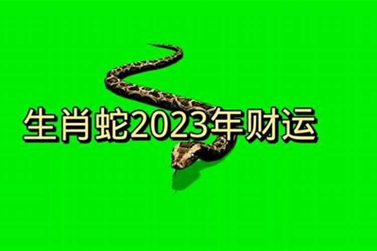 生肖蛇2023年财运