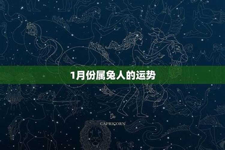 属兔的人12月份运程怎么样