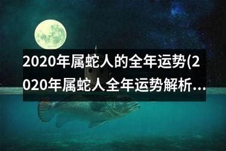 96年的人在2020的运势