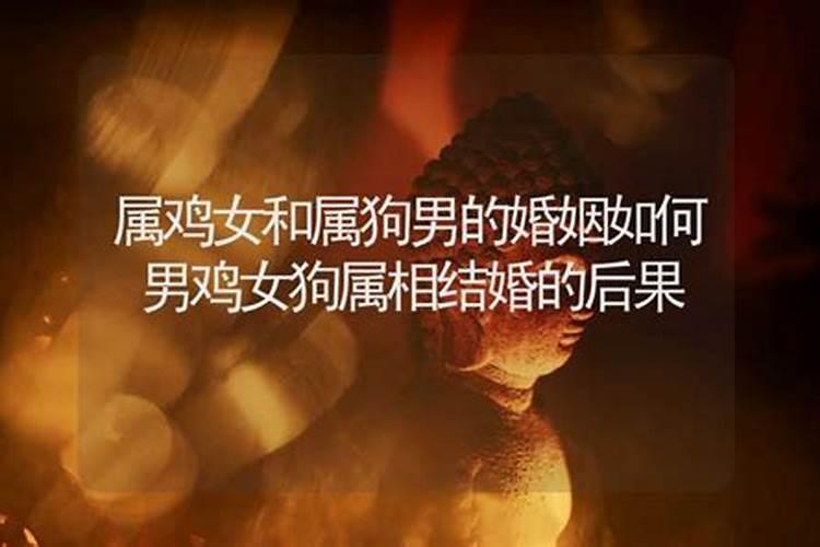 男鸡女狗结婚婚姻怎样