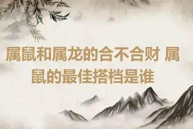 属鼠和属龙的合不合财运