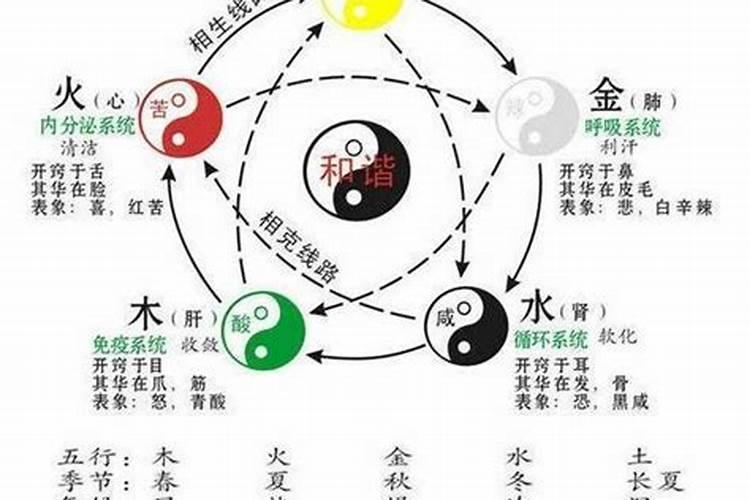 五行各代表什么病