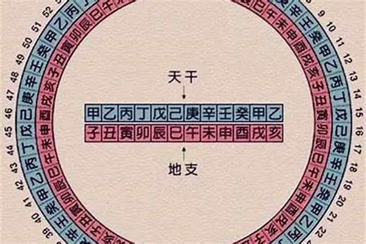 生辰八字属相坐什么意思