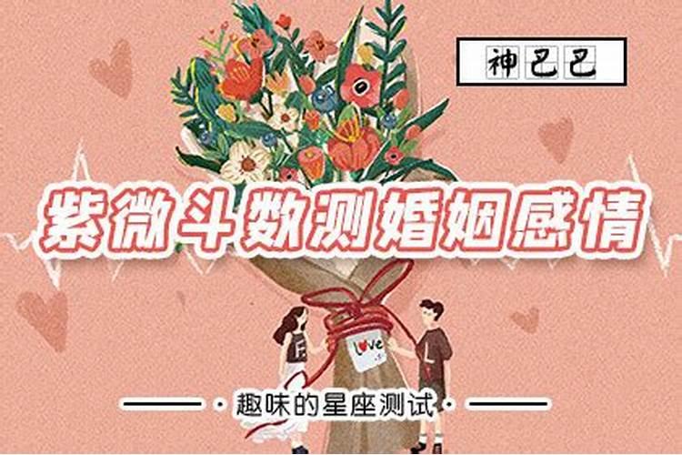 算婚姻八字紫薇斗数哪个准