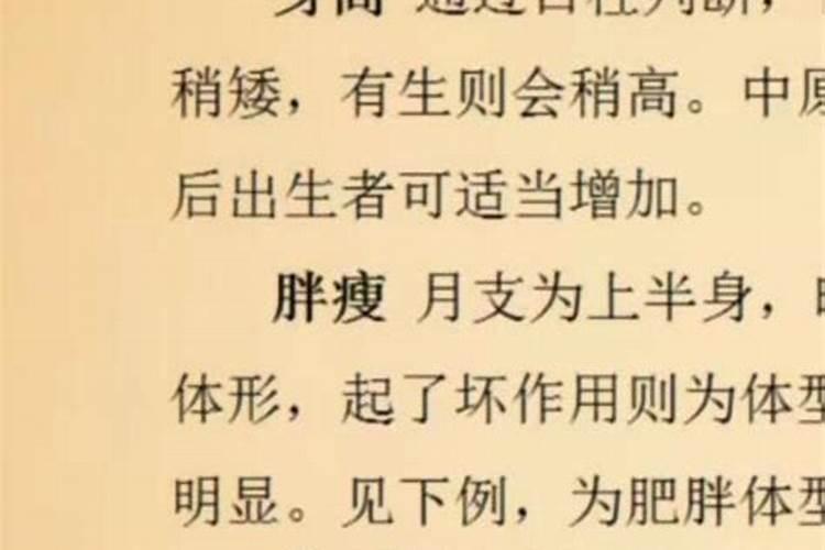 八字全息论法是什么