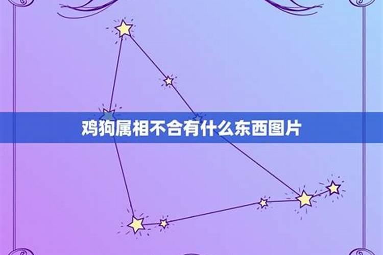 鸡狗属相不合怎么破解