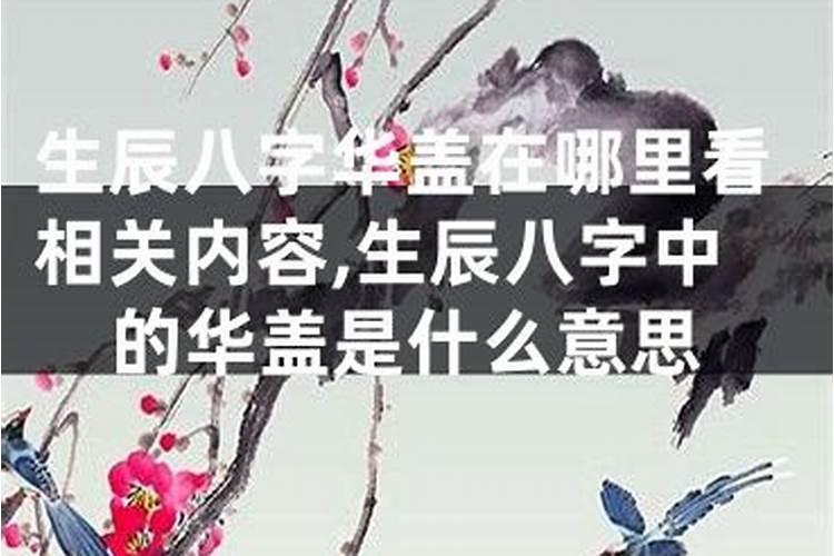 华盖八字是什么意思