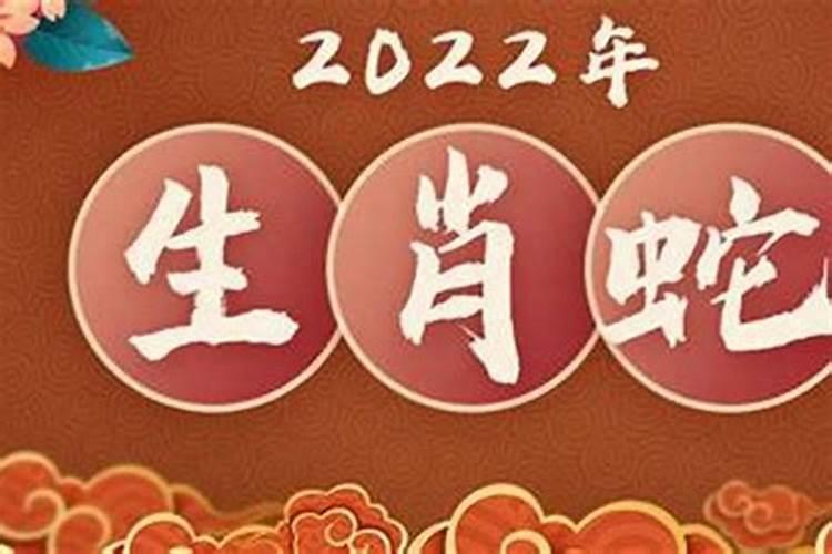 属蛇人2023年运势高考运势