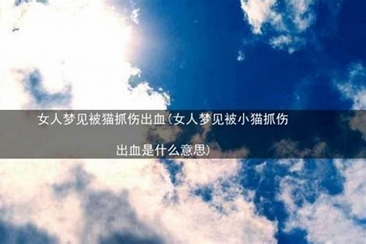 梦到自己开车撞了人代表什么意思