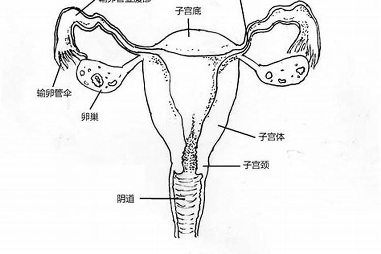 如何知道婴灵超度走了