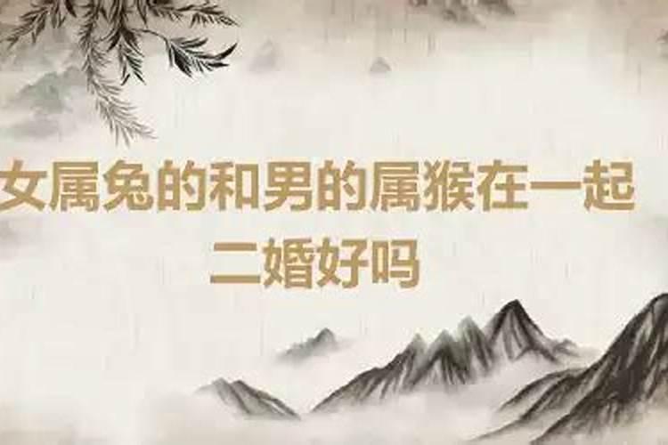 属兔和属猴的结合好不好