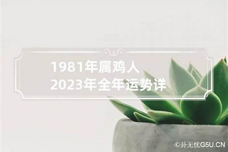 属鸡运势2023