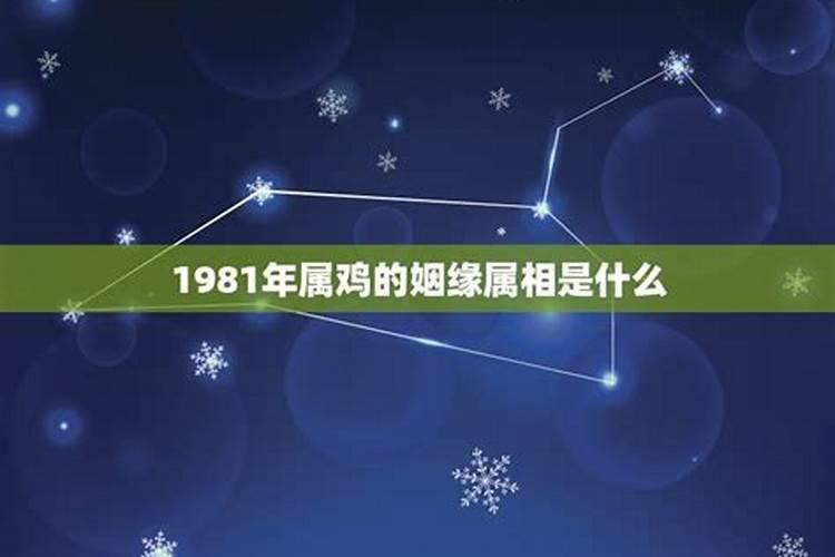 1981年属鸡人的全年运势男性