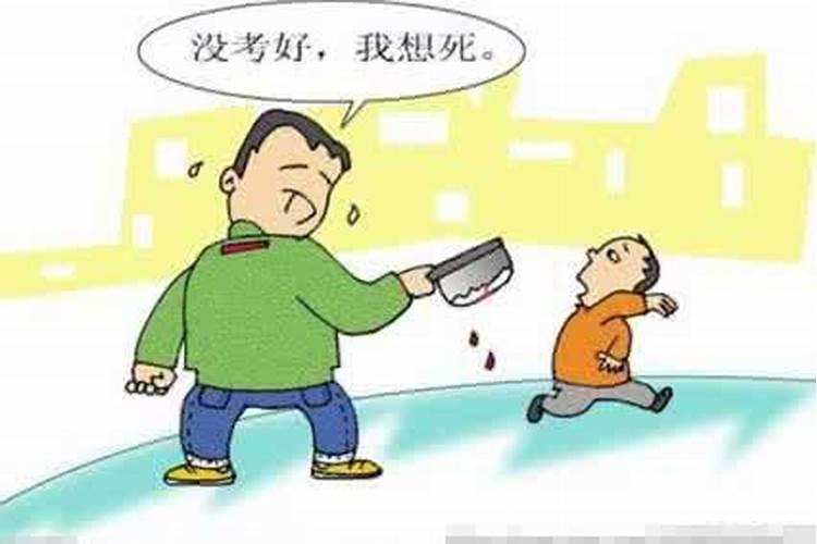 属猪佩戴什么颜色