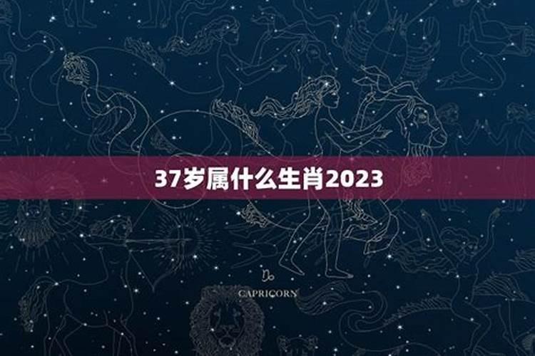 截止2021年37岁属什么