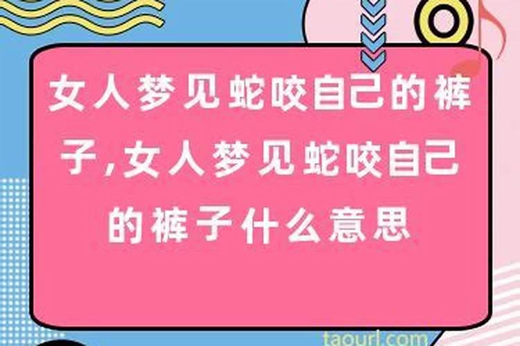 梦见蛇追着咬我是什么意思呀女人