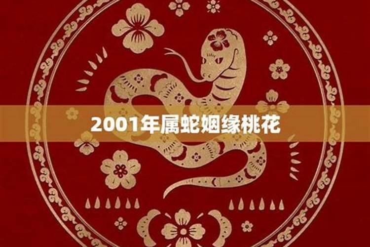 2001年属蛇女孩姻缘在哪一年