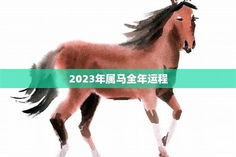 2023年属马的全年每月运势