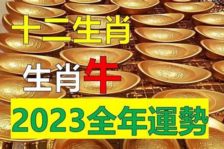 牛人在2023年的运势及运程