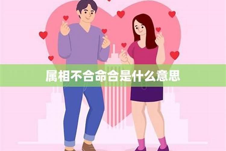 属相不合命合的婚姻好吗