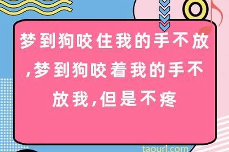 做梦梦到狗咬住我的手不放